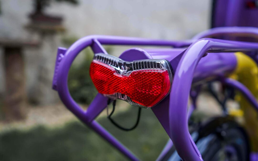 azub-twin-rohloff-colorshop-tandem-recumbent-bike (11)