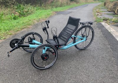 recumbents for sale