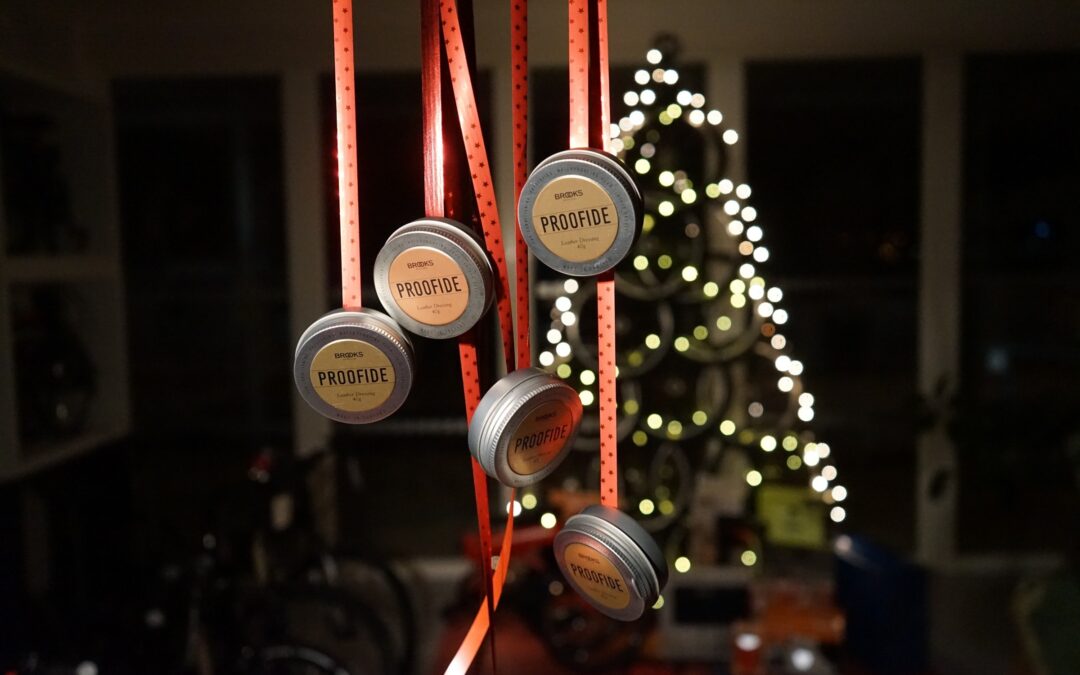 aaa-vanocni-brooks-proofide