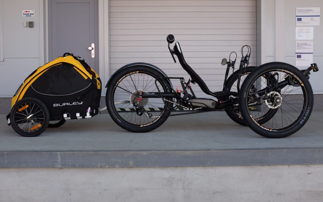 electric-recumbent-trike-azub-ti-fly-x-plus-trailer-for-dog-08