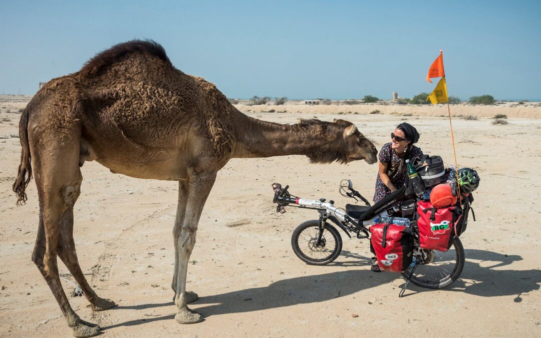 azub-touring-recumbent-bike-trike-#00010