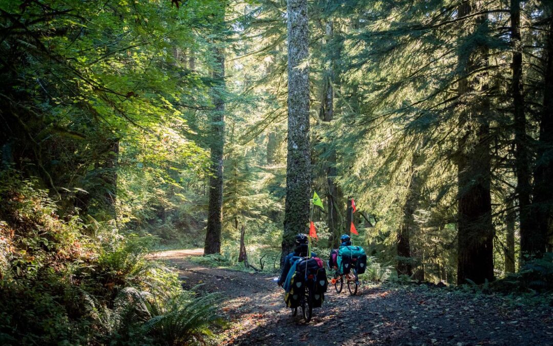 azub-touring-recumbent-bike-trike-#00013