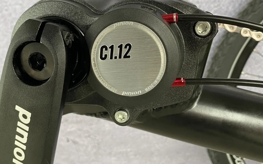 AZUB T-Tris AR recumbent trike with Pinion C1.12 – 24