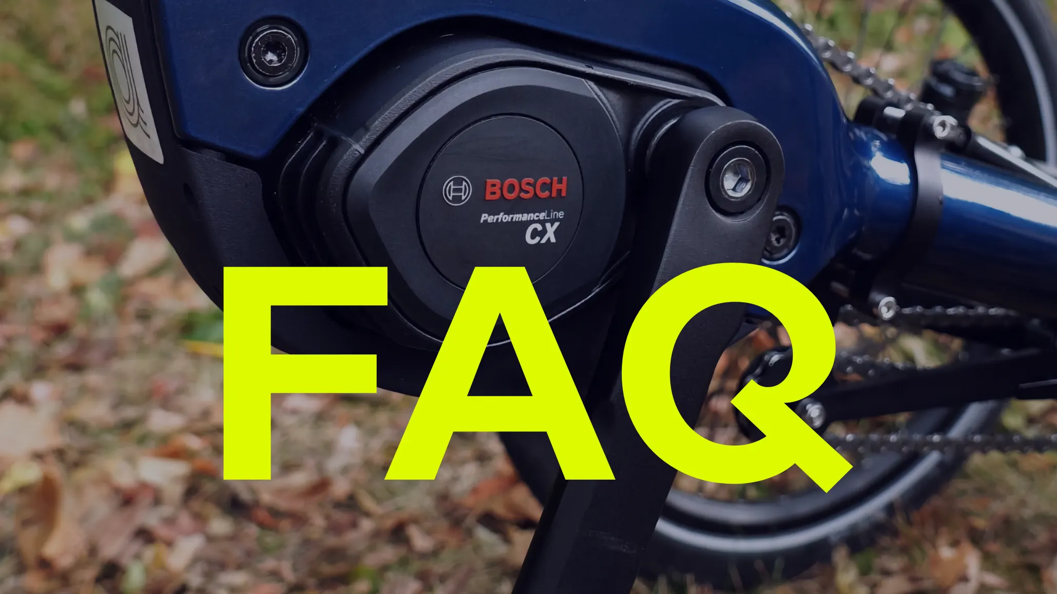 Bosch Performance CX FAQ - recumbent trikes and bikes