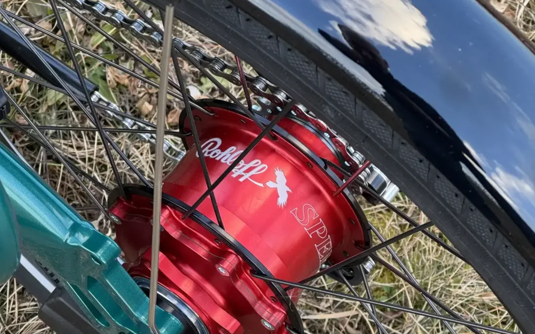 AZUB Ti-FLY 20 recumbent trike with Bosch motor and Rohloff hub – 9