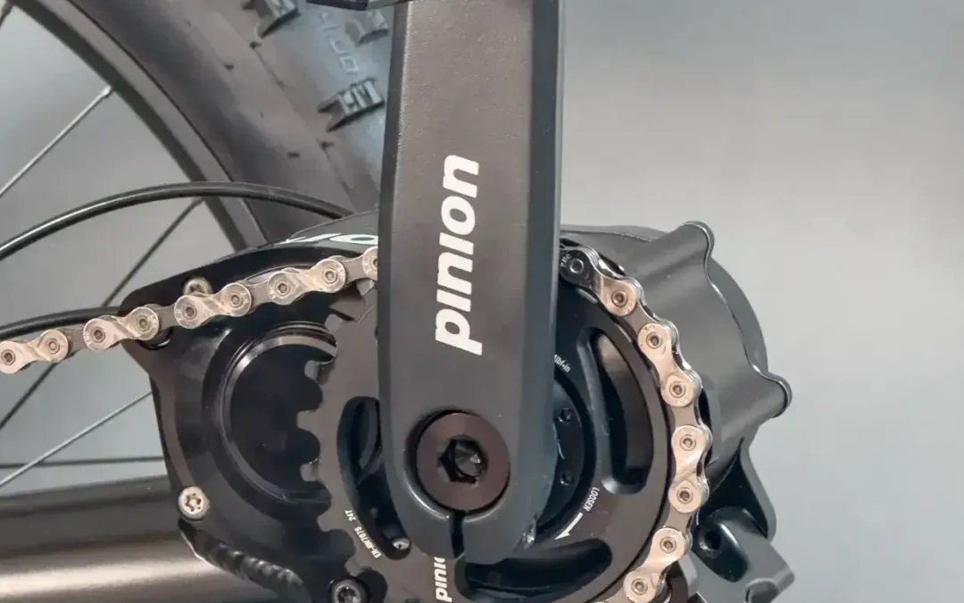 AZUB FAT recumbent trike in all black version and Pinion gearbox – 00003