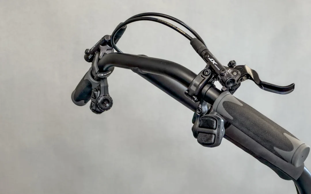 AZUB MAX 700 Founder’s bike – 6