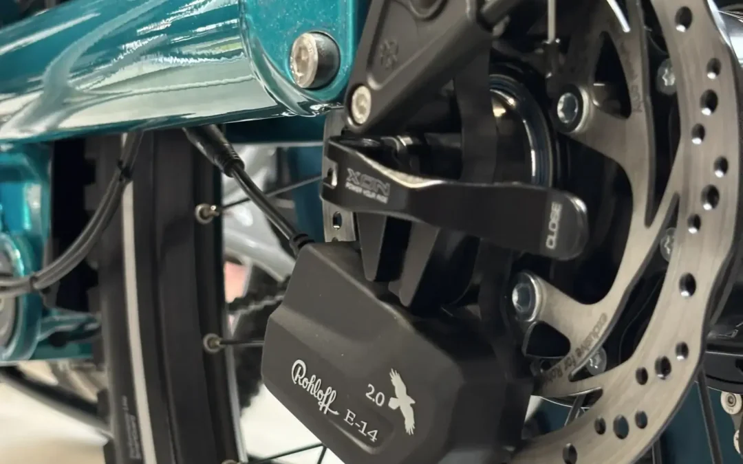 Georgeous AZUB Ti-Fly X Heading to Portugal – 16