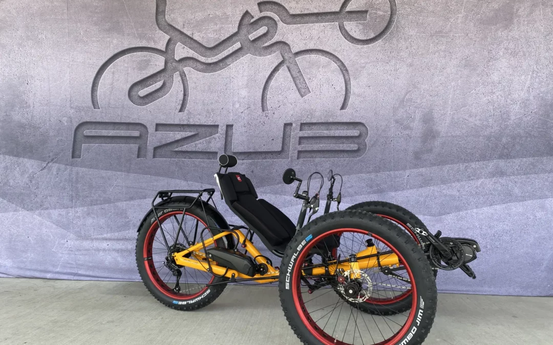 AZUB FAT trike with Shimano Steps EP8 motor and 630 Wh battery