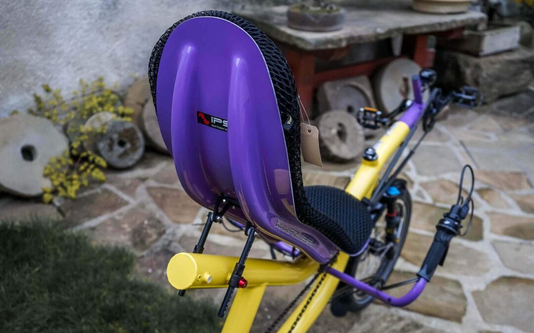 azub-twin-rohloff-colorshop-tandem-recumbent-bike (12)