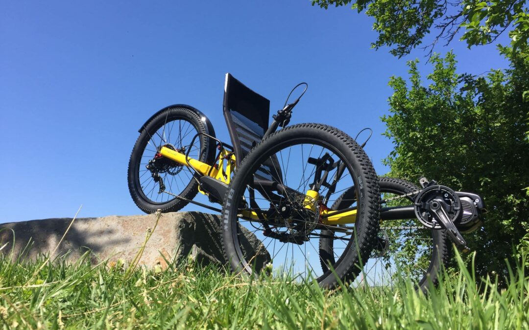 off-road-recumbent-electric-trike-with-shimano-steps-E8000-16